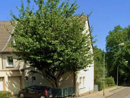 Wohnung zur Miete 310 € 2 Zimmer 40,6 m² 2. Geschoss frei ab 15.10.2026 Steeler Pfad 27 Kray Essen 45307