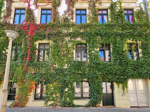 Wohnung zur Miete 400 € 1 Zimmer 40,4 m² 1. Geschoss frei ab sofort Triftstraße 8 Giebichenstein Halle (Saale) 06114