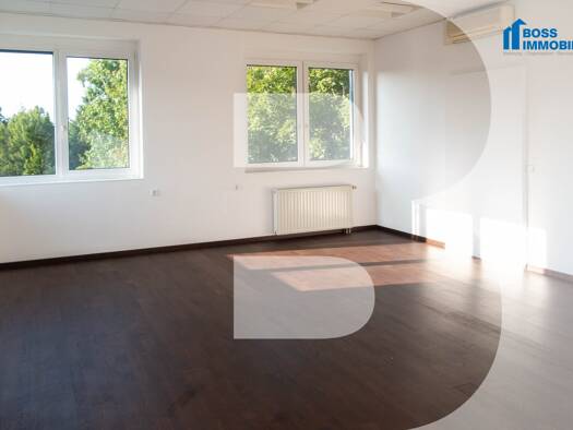 Büro zur Miete 555 € 2 Zimmer 50,7 m² Bürofläche Am Ottstorfer Berg 50 Thalheim bei Wels 4600