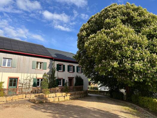 Mehrfamilienhaus zum Kauf provisionsfrei 1.500.000 € 13 Zimmer 550 m² 3.896 m² Grundstück Schönecken 54614