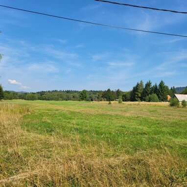 Land-/Forstwirtschaft zum Kauf 145.000 € Lic