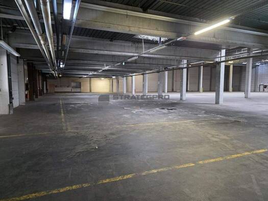 Lagerhalle zur Miete 3.000 m² Lagerfläche teilbar ab 800 m² Edenkoben 67480