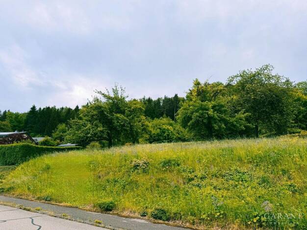 Grundstück zum Kauf 250.000 € 778 m² Grundstück Laufen Albstadt 72459