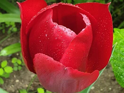 Wohnung zum Kauf provisionsfrei 215.000 € 2 Zimmer 61,5 m² EG Börgerende 18211