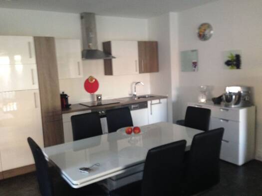 Wohnung zur Miete 550 € 2 Zimmer 73 m² Geschoss 1/2 frei ab 01.03.2026 Krenkingen Waldshut-Tiengen 79761