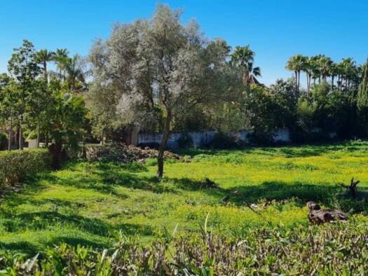 Acker-/Waldstück zum Kauf 2.800.000 € Urbanización Marbella Hill Club 25 Marbella 29602