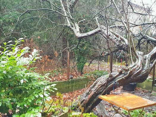 Grundstück zum Kauf 550 m² Grundstück Griesheim Frankfurt am Main 65933