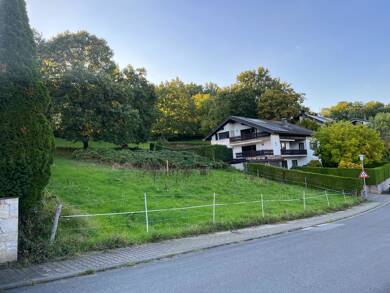 Grundstück zum Kauf 350.000 € 1.130 m² Grundstück Fürth Fürth 64658