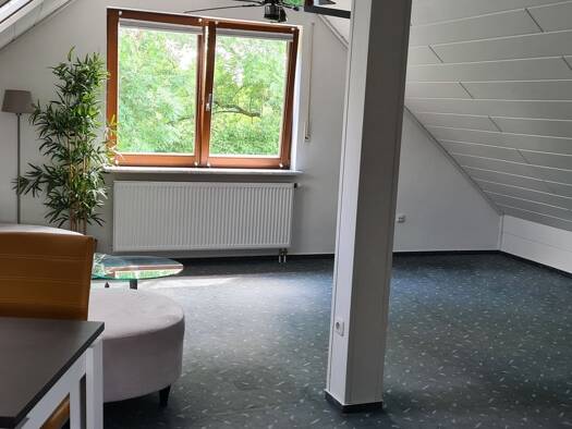 Wohnung zur Miete 390 € 1 Zimmer 30 m² Geschoss 1/2 frei ab 01.04.2026 Laineck Bayreuth 95448