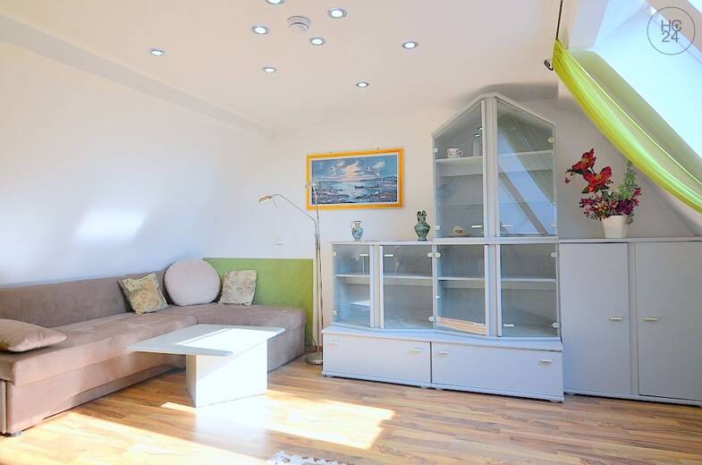 Wohnung zur Miete Wohnen auf Zeit 550 € 1 Zimmer 20 m² frei ab 01.06.2025 Trierer Straße Nürnberg 90469