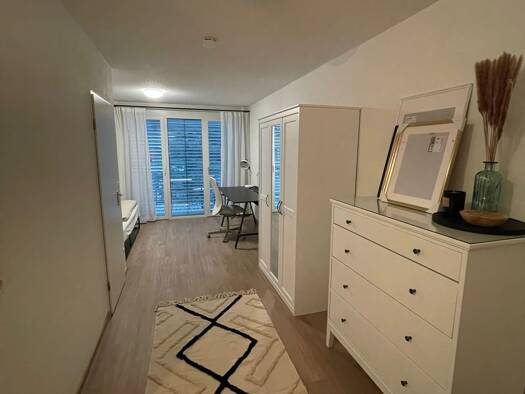 Wohnung zur Miete 470 € 1 Zimmer 28 m² Geschoss 2/4 frei ab 01.08.2026 Fürstenberg Konstanz 78467