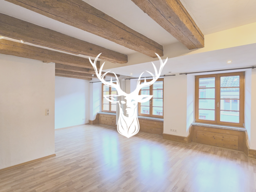 Wohnung zum Kauf 159.000 € 1,5 Zimmer 45,8 m² 2. Geschoss frei ab sofort Waldshut Waldshut-Tiengen 79761