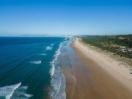 Villa zum Kauf 1.890.000 € 6 Zimmer 262 m² 1.356 m² Grundstück Rua dos Gladiolos Costa da Caparica 2825