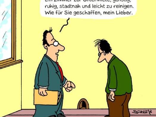 Haus zum Kauf provisionsfrei Ortenberg 77799