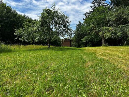 Freizeitgrundstück zum Kauf 19.800 € 1.079 m² Grundstück Lichtental Baden-Baden 76530
