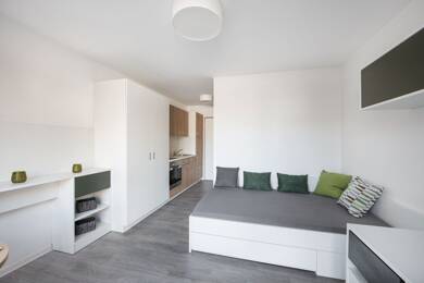 Studio zur Miete 535 € 1 Zimmer 24 m² 3. Geschoss frei ab 01.08.2025 Jägerstraße 25 Westviertel Essen 45127