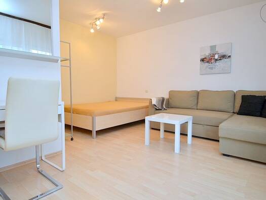 Wohnung zur Miete Wohnen auf Zeit 795 € 1 Zimmer 30 m² frei ab sofort Nürnberg 90489