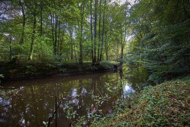 Grundstück zum Kauf provisionsfrei 950.000 € 1.500 m² Grundstück Sarenweg 92 Wohldorf-Ohlstedt Hamburg 22397
