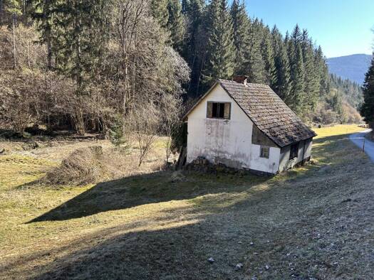 Haus zum Kauf 90.000 € 4.397 m² Grundstück Friesach 9361