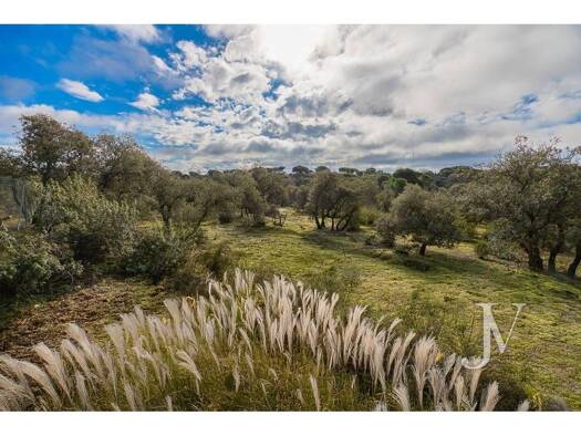 Acker-/Waldstück zum Kauf 3.500.000 € Pozuelo de Alarcón 28223