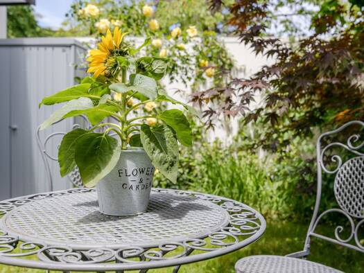 Wohnung zum Kauf 550.000 € 3 Zimmer 82 m² EG Pasing-Obermenzing München 81245
