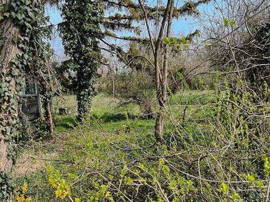 Grundstück zum Kauf 348.000 € 500 m² Grundstück frei ab sofort Lenau Kapellerfeld 2201