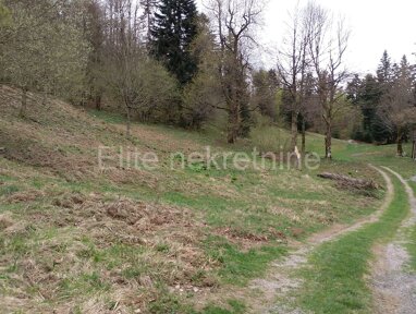 Land-/Forstwirtschaft zum Kauf 131.000 € Crni Lug