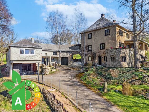 Einfamilienhaus zum Kauf 539.000 € 11 Zimmer 267 m² 3.900 m² Grundstück Fischendorf Leisnig 04703