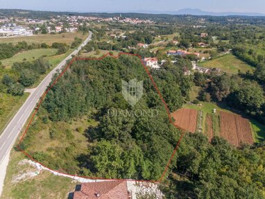 Land-/Forstwirtschaft zum Kauf 399.000 € Zminj center 52341