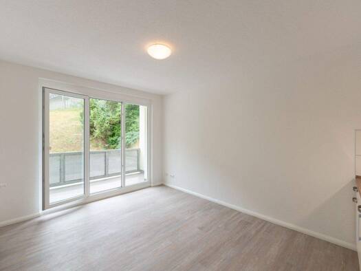 Wohnung zur Miete 330 € 1 Zimmer 24 m² frei ab 01.01.2026 Lichtenhain Jena 07745