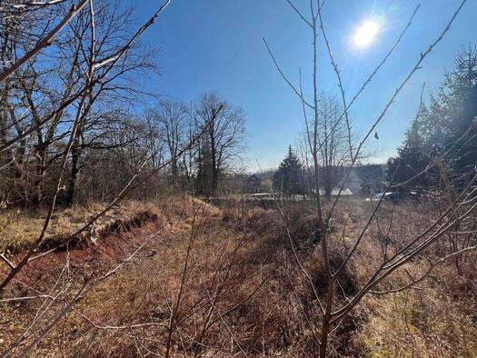 Grundstück zum Kauf 35.000 € 795 m² Grundstück Goldäcker Hesserode Nordhausen 99734