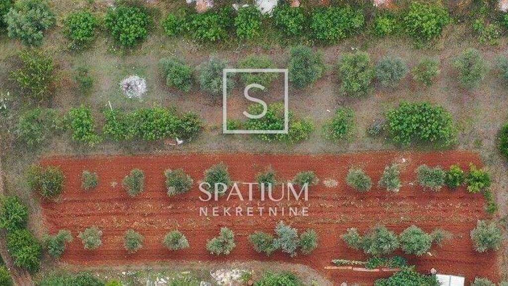 Land-/Forstwirtschaft zum Kauf 195.000 € Luka