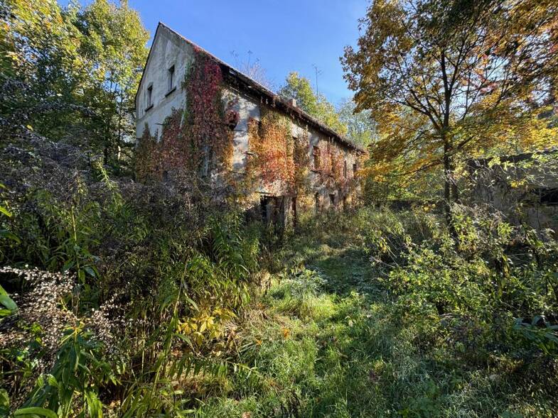 Einfamilienhaus zum Kauf 90.000 € 6 Zimmer 216 m² 23.235 m² Grundstück Kursdorf Eisenberg 07607