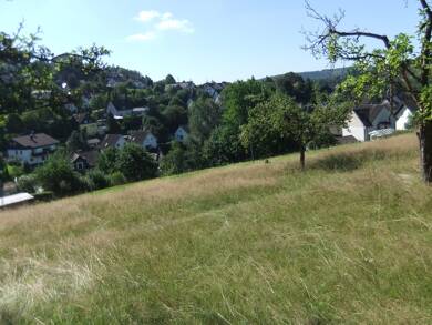Grundstück zum Kauf 930 m² Grundstück Buschhütten Kreuztal 57223