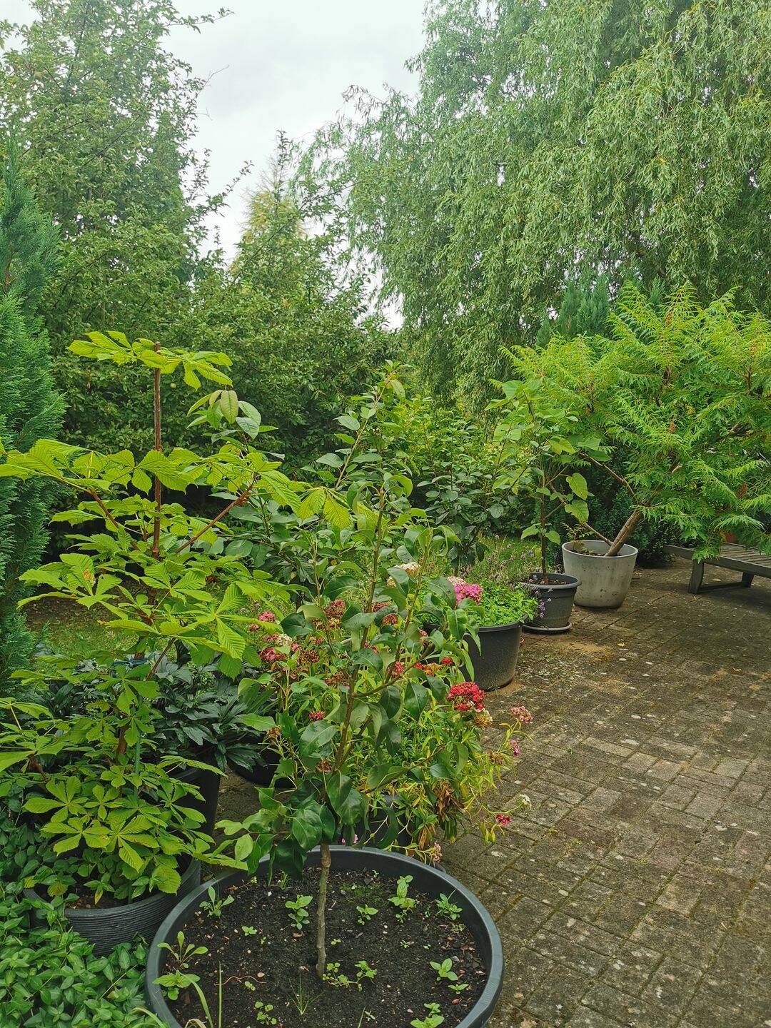 Einfamilienhaus zum Kauf – pohled 4