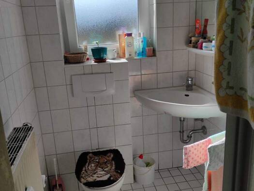 Studio zur Miete 390 € 1 Zimmer 60 m² Daun 54550