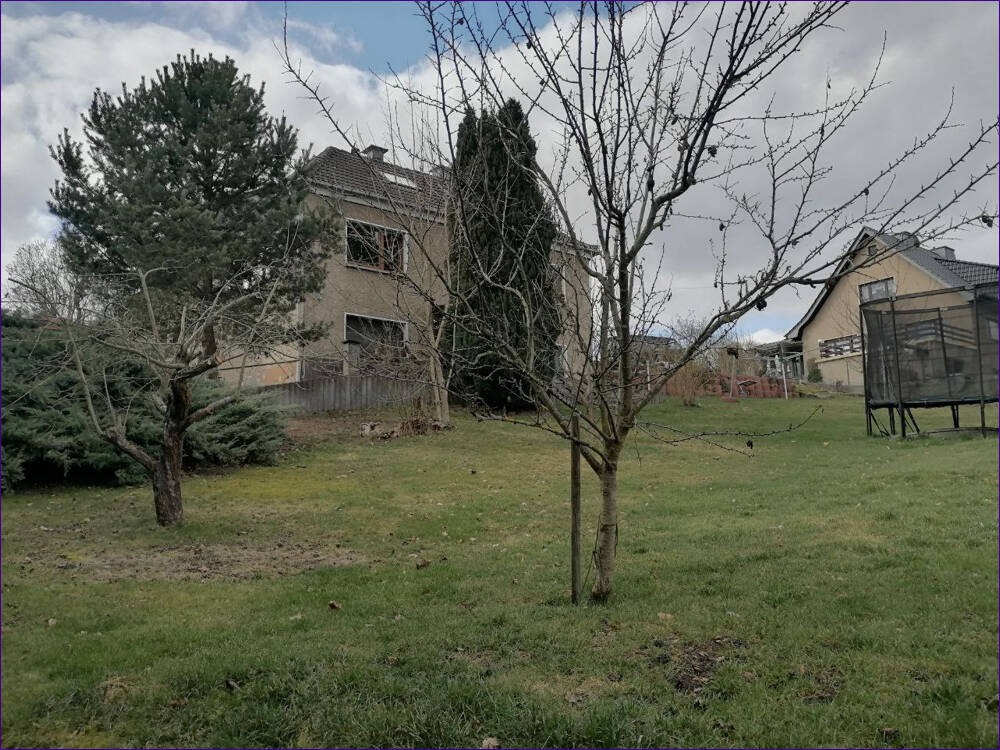 Immobilie in Barchfeld-Immelborn - Großzügiges Einfamilienhaus in einzigartiger Lage - Bild 1