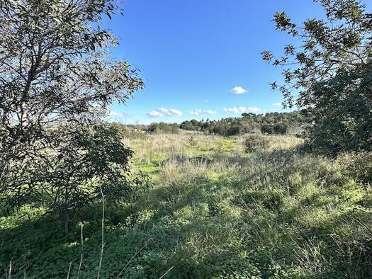 Grundstück zum Kauf 2.300.000 € 19.000 m² Grundstück SAN JOSEP 08820