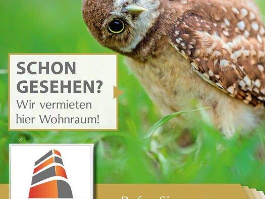 Wohnung zur Miete 530 € 3 Zimmer 66,3 m² 3. Geschoss Walther-Rathenau- Straße 18 Großröhrsdorf 01900