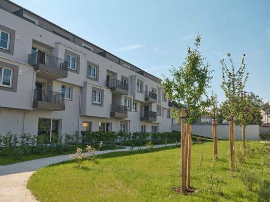 Wohnung zur Miete - Erstbezug 582 € 2,5 Zimmer 53,4 m² 2. Geschoss Wels 4600