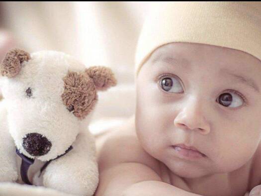 Einfamilienhaus zum Kauf provisionsfrei 556.900 € 5 Zimmer 170 m² 1.120 m² Grundstück Meerane 08393