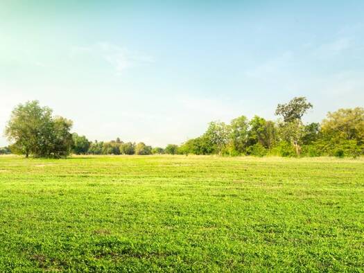 Grundstück zum Kauf 895.000 € 3.392 m² Grundstück Wiepenkathen Stade 21684