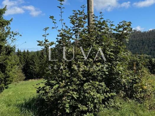 Gewerbegrundstück zum Kauf 100.000 € Ravna Gora 0