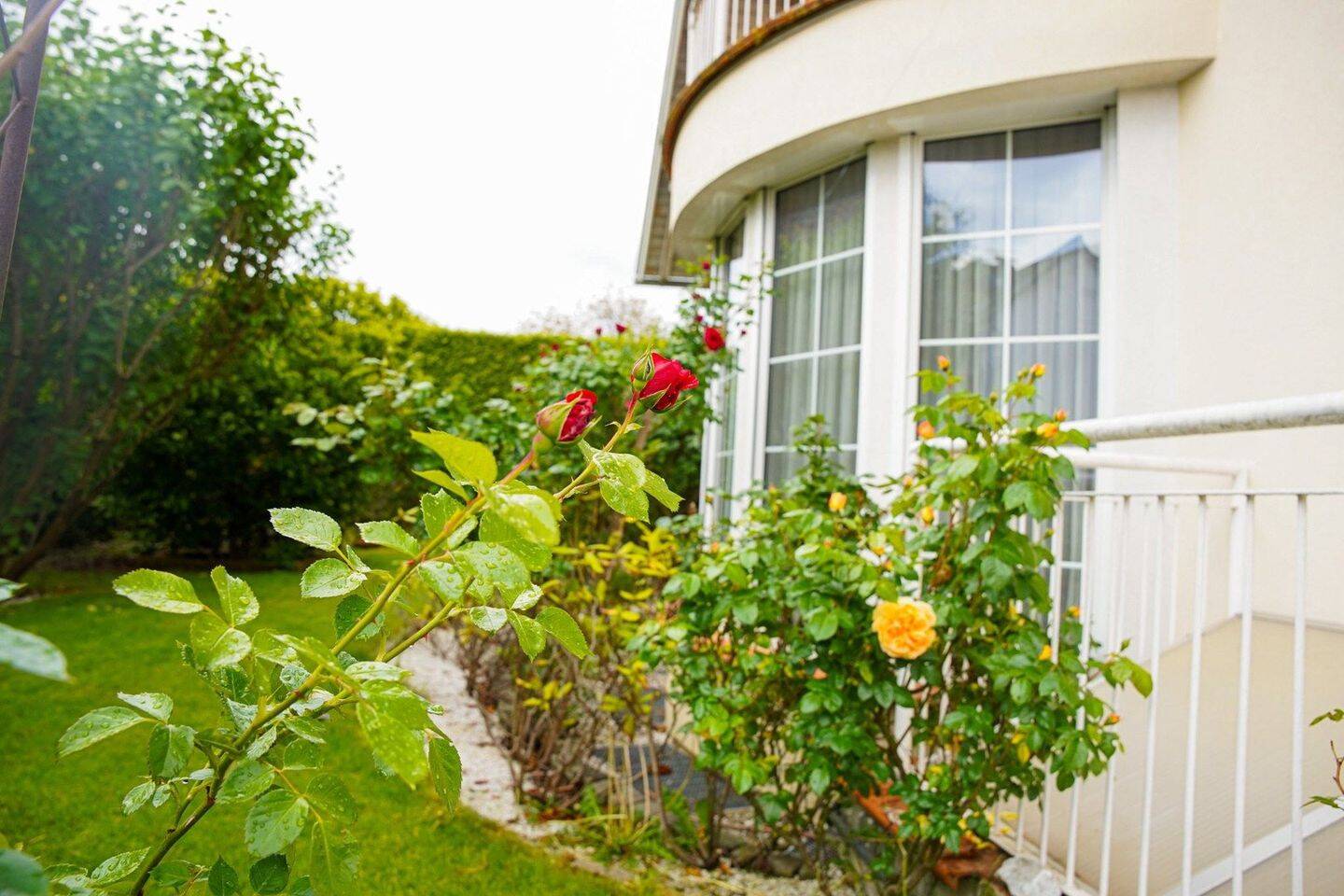 Einfamilienhaus zum Kauf - Ansicht 3