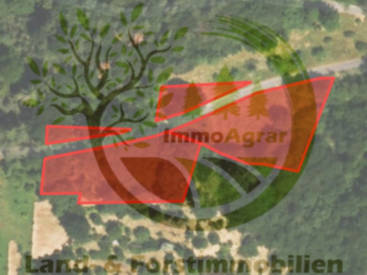 Land-/Forstwirtschaft zum Kauf 22.125 € 4.434 m² 4.434 m² Grundstück Dornau Sulzbach am Main 63834