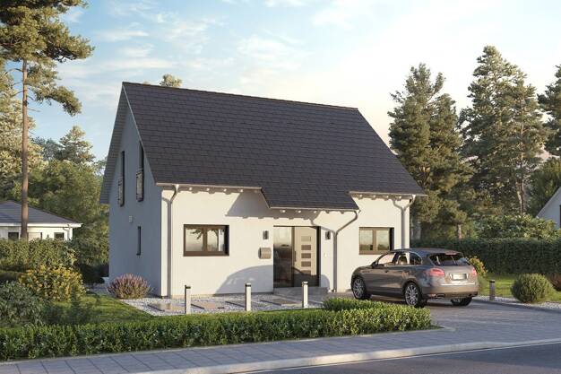 Einfamilienhaus zum Kauf provisionsfrei 299.000 € 5 Zimmer 163,5 m² 1.100 m² Grundstück Alf 56859
