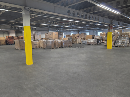 Lagerhalle zur Miete 3.000 m² Lagerfläche teilbar ab 1.500 m² Frankenthal 67227