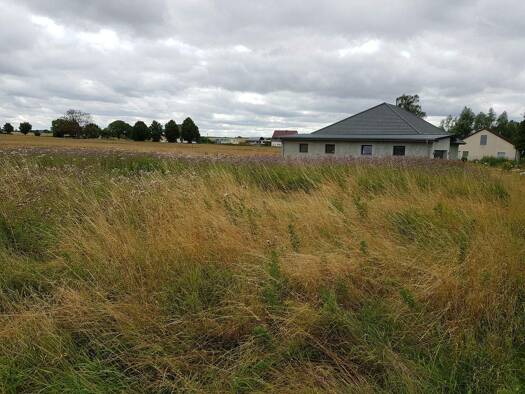 Grundstück zum Kauf 58.000 € 2.768 m² Grundstück Schwarzer Weg Golm Groß Miltzow 17349