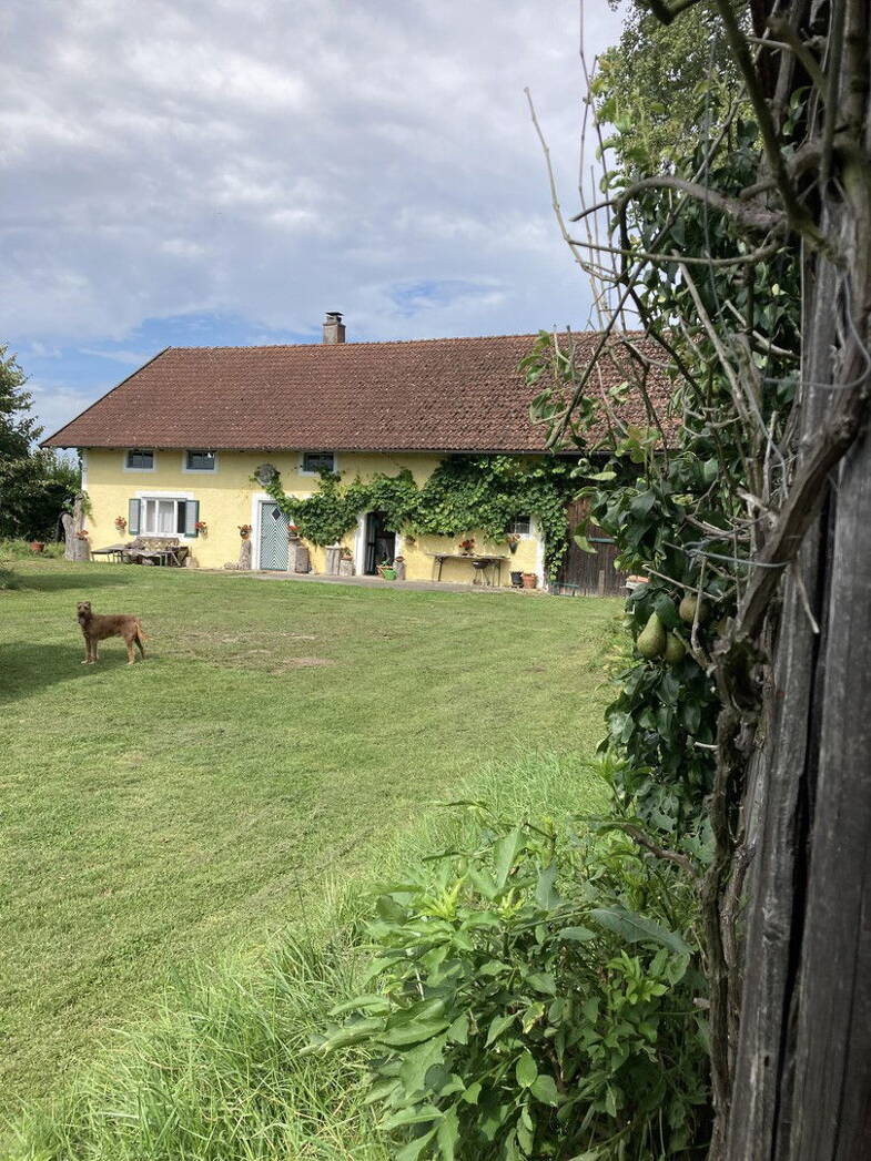 Bauernhaus zum Kauf provisionsfrei 339.000 € 5 Zimmer 160 m² 2.000 m² Grundstück Draht 6 Draht Mariaposching 94553