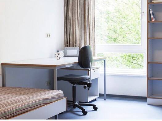 WG-Zimmer zur Miete 300 € 11 m² frei ab 01.11.2026 Oberstadt Mainz 55129